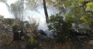 Antalya’da orman yangını!