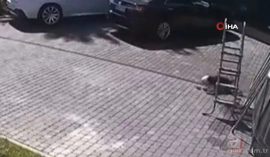 Maymun böyle kaçırdı! Halk seferber oldu 13