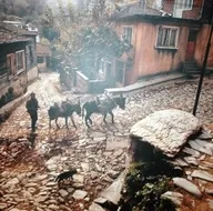 Ara Gülerin objektifinden İstanbul