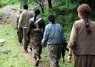 PKK'lı kadın teröristten korkunç itiraf