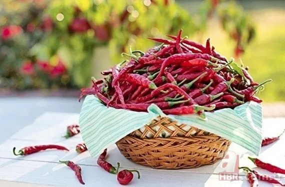 Kilo vermek isteyenler dikkat! Bu besinler metabolizmayı hızlandırıyor! İşte kilo verdiren yiyecekler 20