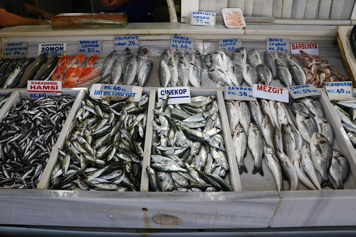 Av yasağı olan çinekop tezgahlarda!