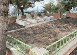 Hatay'da hayrete düşüren manzara: Alevlerin arasında kalan şehitlik yangından etkilenmedi