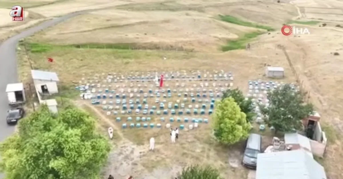 Kadınlar bal üretimine yöneliyor