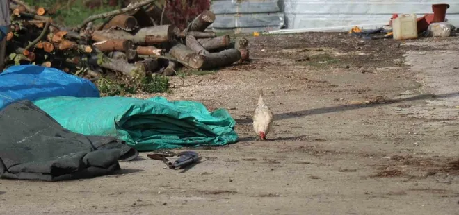 Tavuk yüzünden iki yeğenini tüfekle vurdu