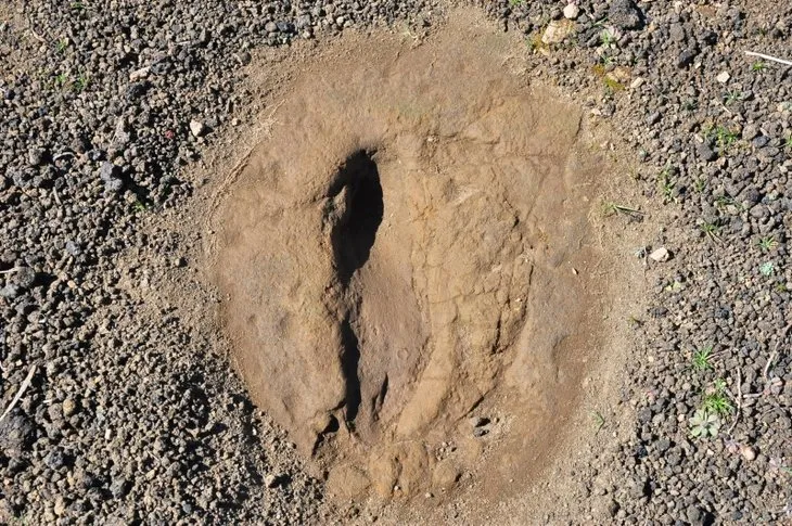 Kula-Salihli UNESCO Global Jeoparkı'ndaki ayak izleri 5 bin yıllık çıktı! Gizli tutuluyor