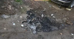 Tasmalı köpek yakılarak öldürüldü