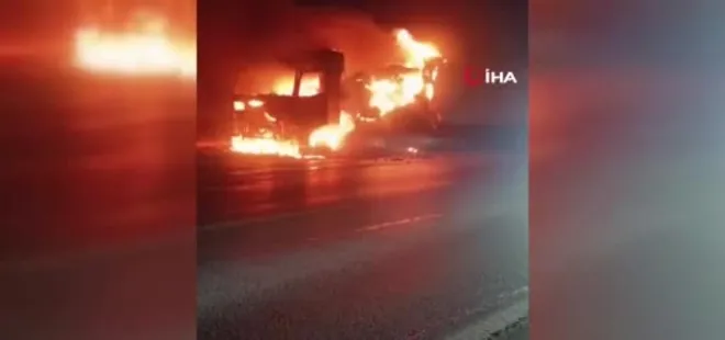 Avokado yüklü tır alev topuna döndü