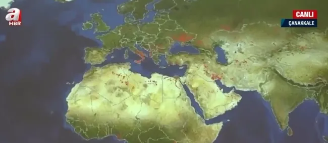 Kuzey Yarım Küre’de neden orman yangınları çıkıyor? Yangınların nedenleri neler?