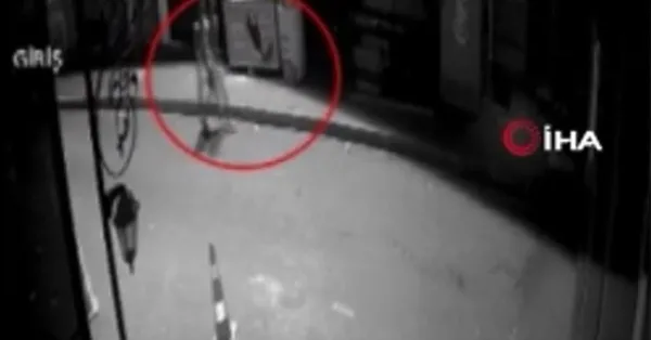 1665725058829.jpg Eve giren hırsız yakalananınca boğazını kesti! Hayati tehlikeyi atlatan öğretmen yaşadığı kabusu anlattı - 8