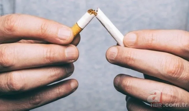 16 Ağustos yeni sigara fiyatları listesi - Sigara zammı olacak mı? En ucuz zam gelmeyen sigaralar hangileri?