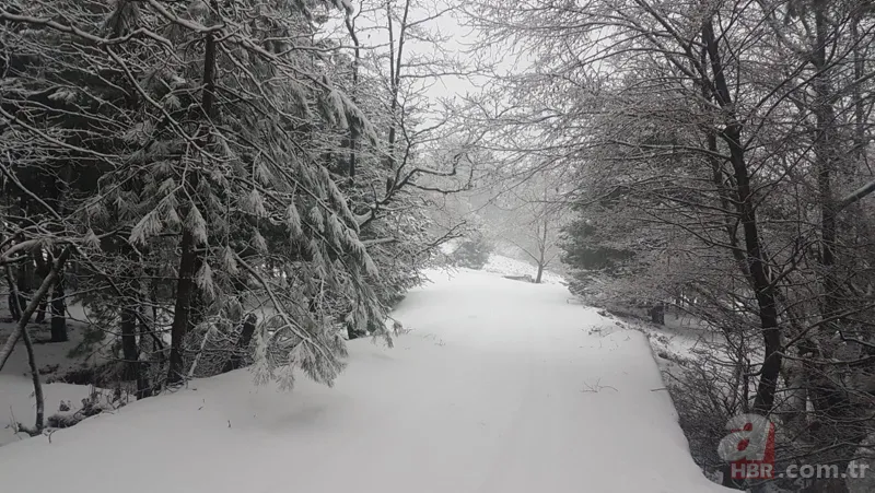 Son dakika: Kar tatili haberi geldi! Bugün bu illerde okullar tatil! 20
