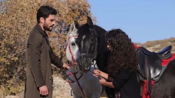 Hercai 22. son bölüm izle