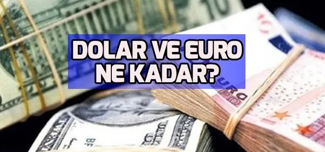 Dolar hızla düşüyor! Dolar ve Euro ne kadar? Dolar kuru 13 Şubat 2019