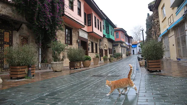 Son dakika: Bugün yasak var mı? 25 Ocak Pazartesi sokağa çıkma yasağı var mı? Bakanlık duyurdu
