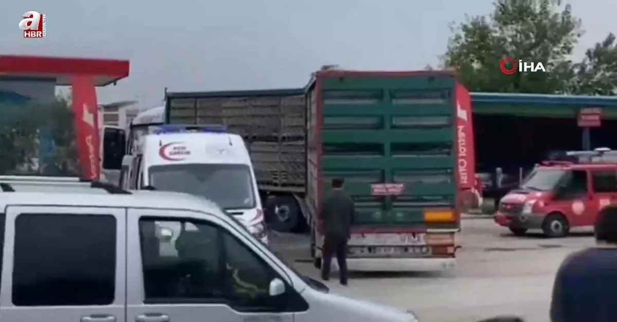Tırın altında ezilen yaşlı adam öldü