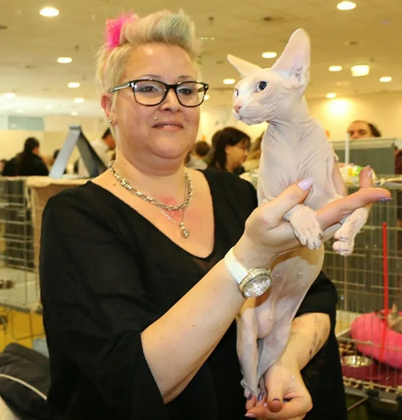 tuysuz kedi dior u icin teklif edilen