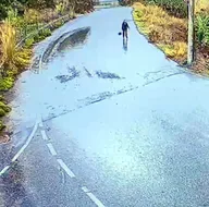 Direksiyon dersi için çıktı bir daha dönmedi! Her yerde aranıyor