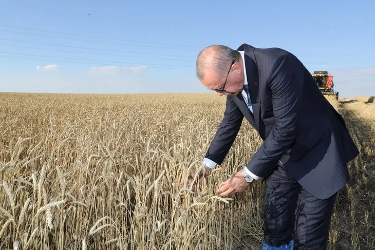 Başkan Erdoğan yerli elektrikli traktörü kullandı