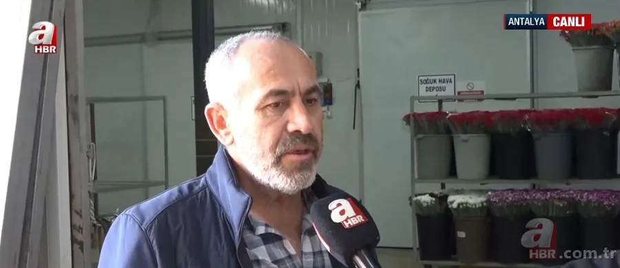 Antalya'dan dünyaya sevgi eli: 14 Şubat öncesi 70 milyon çiçek ihracatı 3