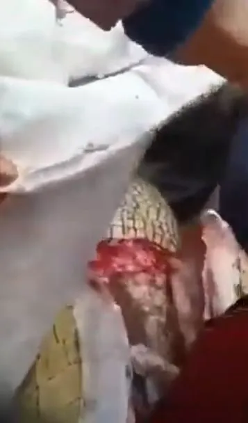 Timsahın karnından insan çıktı! Kan donduran anlar böyle görüntülendi...