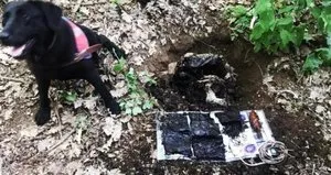 PKK’nın katliam hazırlığı önlendi