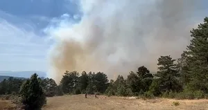 Bursa’da orman yangını