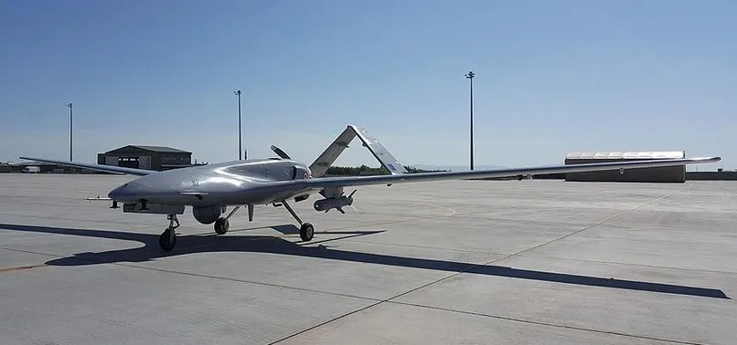 TSK'dan PKK'ya bir ağır darbe daha