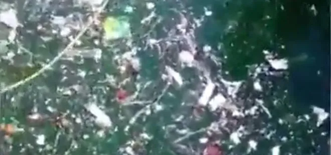 CHP’li İBB şehrin sorunlarına gözlerini yumdu! Bebek sahilinde büyük rezalet