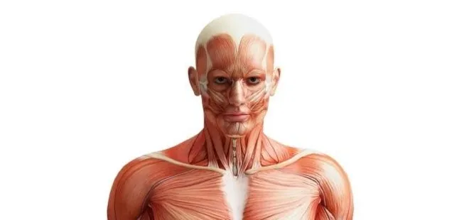 ABD’de fakirlerin bedeni karaborsa