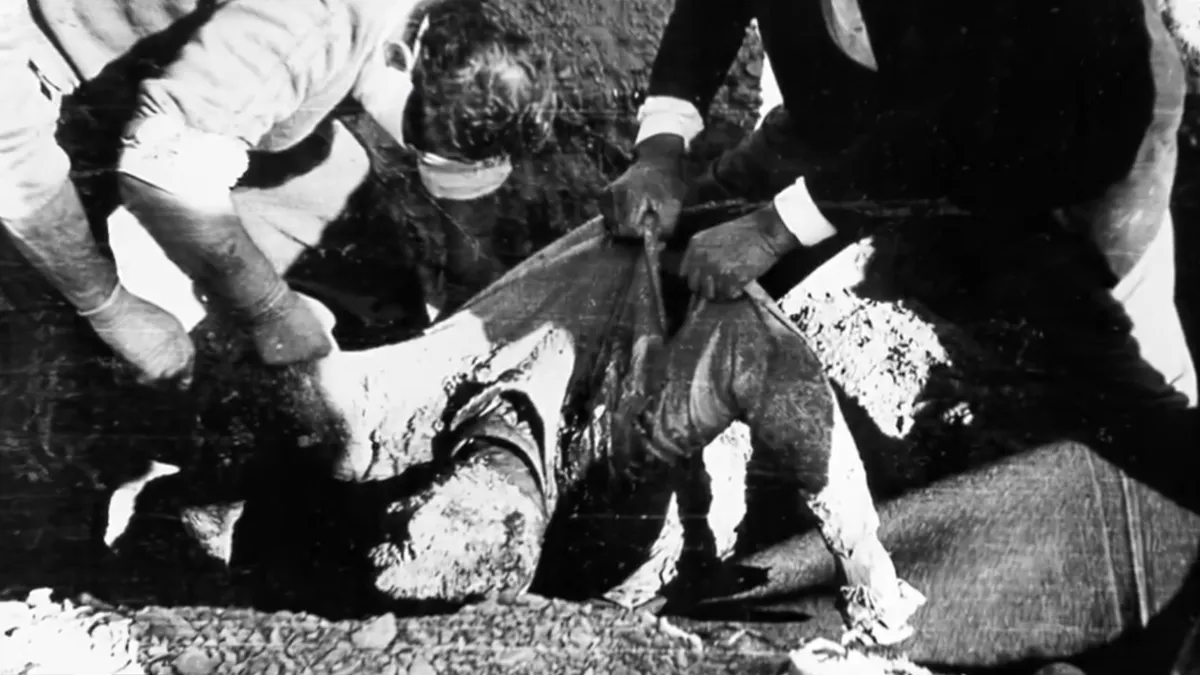 Kıbrıs Türklerinin yaşadığı Rum zulmü 50. Yıl Belgeseli'nde!