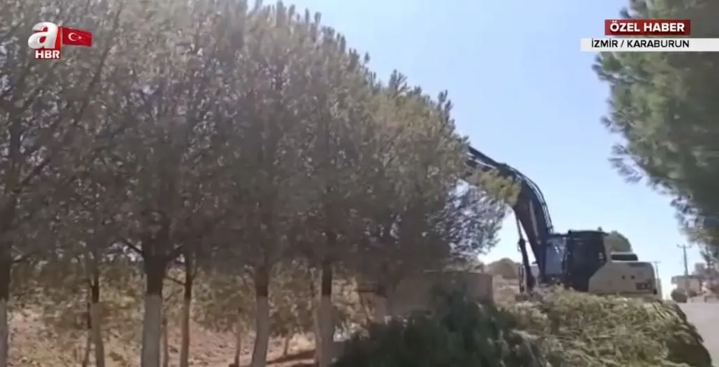 Chp Li Belediyeden Izmir Karaburun Da Aglatan Doga Katliami Genc Kiz Gozyaslari Icinde Izledi