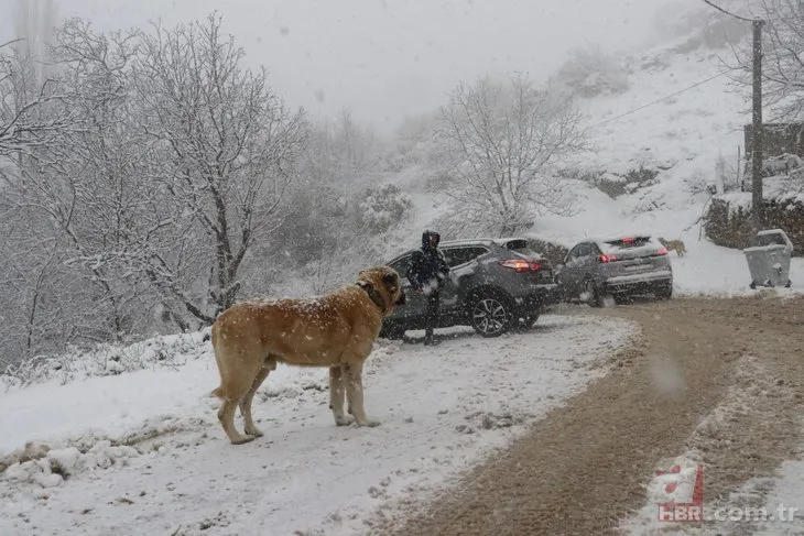 Bursa’da kar yağışı etkili oluyor! Uludağ yolunda araçlar yolda kaldı