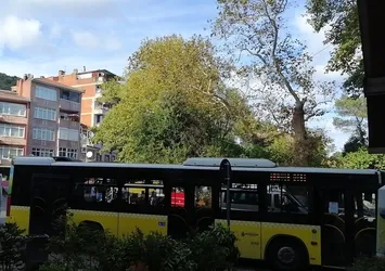 İETT araçları nasıl bu hale geldi? Vatandaşın canına tak etti! Manzara yine aynı