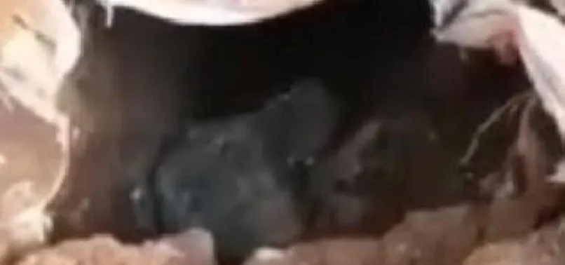 Mardin'de PKK'lı teröristlerin 4 sığınağı kullanılamaz hale getirildi