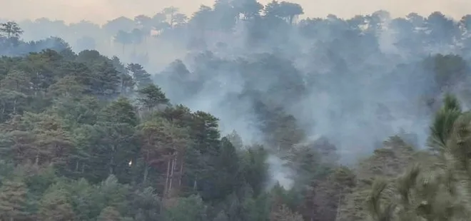 Arazi araçları ulaşamadı işçiler elleriyle söndürdü! Denizli’deki orman yangınında 5 hektar alan zarar gördü