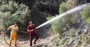 5 hektarı kül eden yangının nedeni belli oldu