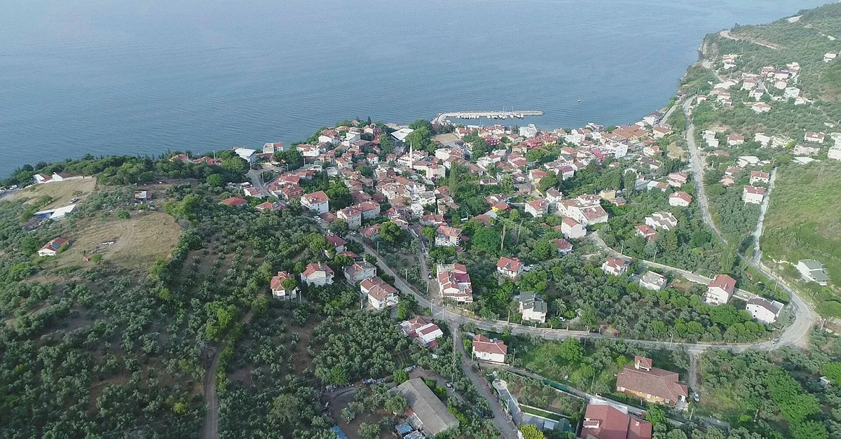 Bursa'da satılık köy meydanı!