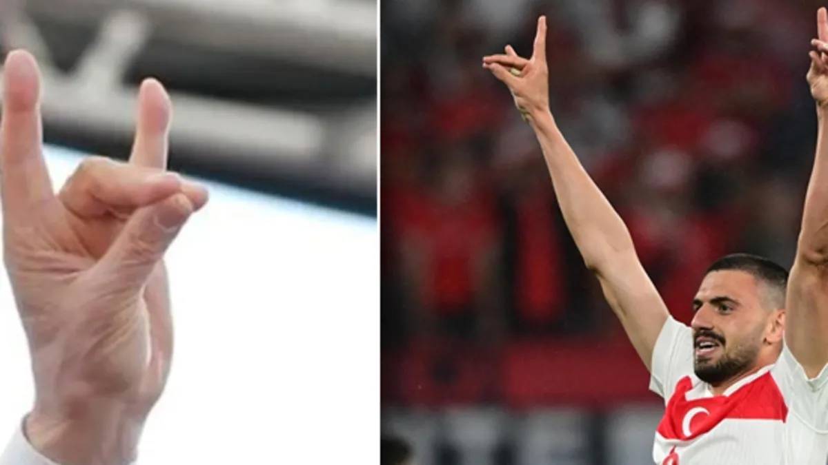 Almanya'dan 'bozkurt' tahammülsüzlüğünde bir skandal daha! Benzediği için yasakladılar