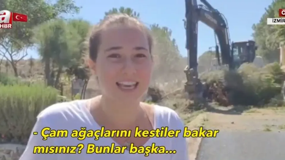 CHP'li belediyeden İzmir Karaburun'da ağlatan doğa katliamı! Genç kız gözyaşları içinde izledi