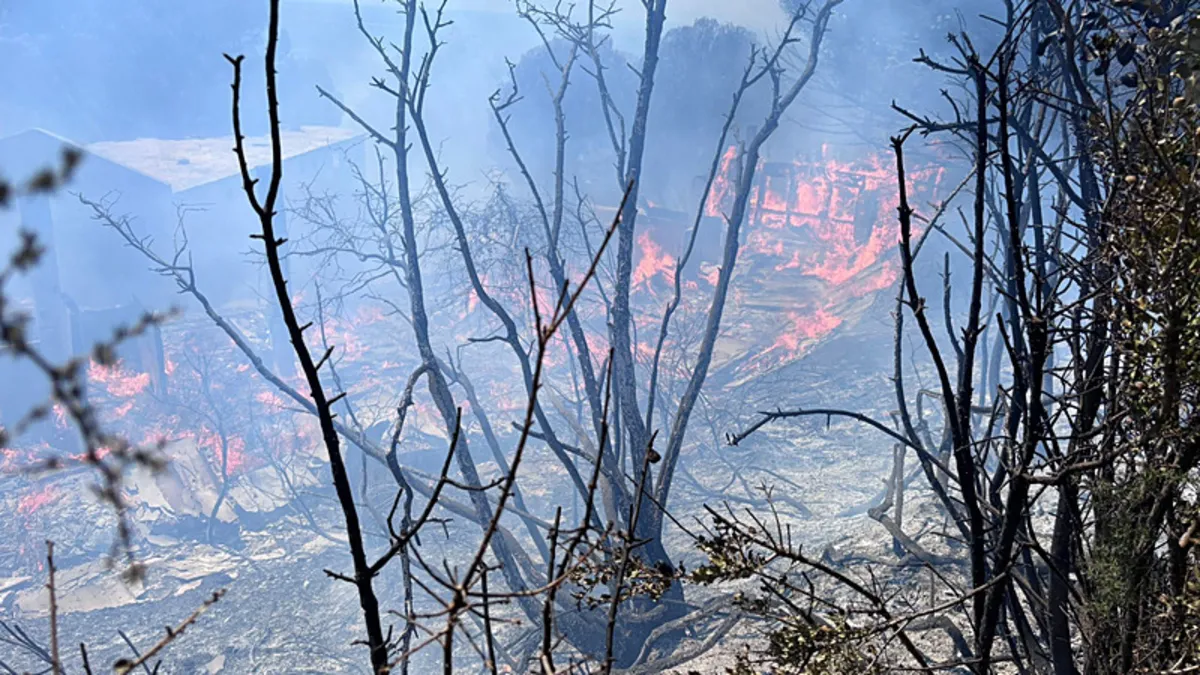 Erdek'te çıkan orman yangını kontrol altına alındı