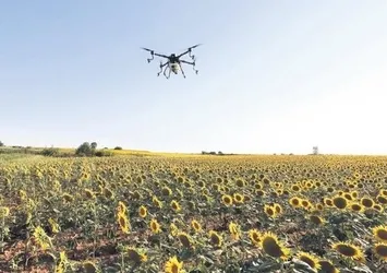 Trakya’da tırtıl istilasında yeni gelişme! Mücadelede sona doğru