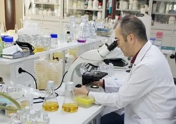 Bolu'da ortaya çıktı! İşte yeni bakteri türü