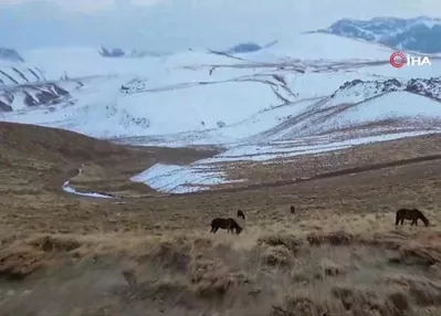Gizemli yolculuk böyle kayda geçti