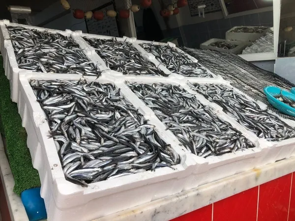 Hamsi fiyatları ne kadar oldu? Tezgahlardaki yerini aldı
