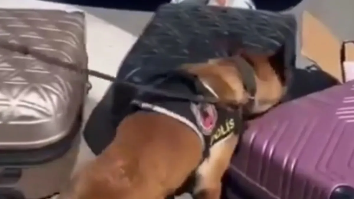 Kayseri'de 41 kilo uyuşturucu ele geçirildi