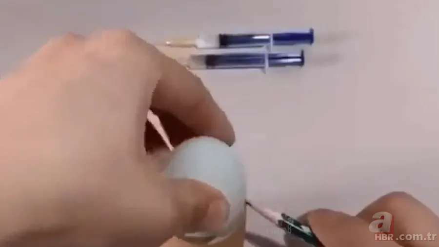 İşte civcivin yumurta içindeki gelişimi 🐣 İğne ile enjekte etti gün gün görüntüledi 🥚 2