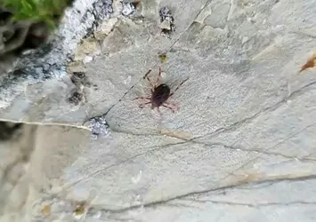 KKKA Bilim Kurulu toplandı! İşte dikkat edilmesi gerekenler...