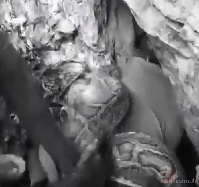 Anakonda ormanda insana saldırdı 🐍 Tam mağaraya götürürken... 20