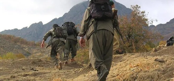 Alman şirketler PKK’ya fon sağlıyor! İşte reklam veren o şirketler